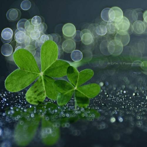 یادمه بعضی شبا ساعت ها منتظر میموندیم تو هم بیای واسه شام